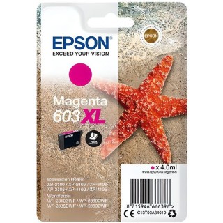 EPSON Cartouche d'encre 603 XL Magenta - Etoile de mer (C13T03A34010)