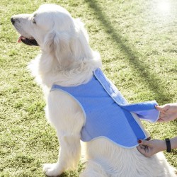 Gilet Rafraîchissant pour Grands Animaux de Compagnie InnovaGoods - L