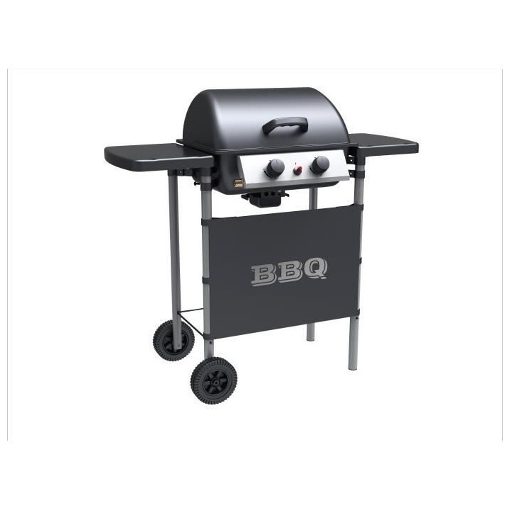 SYLVER STYLE Barbecue a gaz 2 bruleurs en inox - 2500 W