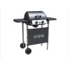 SYLVER STYLE Barbecue a gaz 2 bruleurs en inox - 2500 W