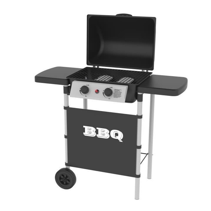 SYLVER STYLE Barbecue a gaz 2 bruleurs en inox - 2500 W