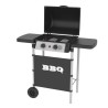 SYLVER STYLE Barbecue a gaz 2 bruleurs en inox - 2500 W