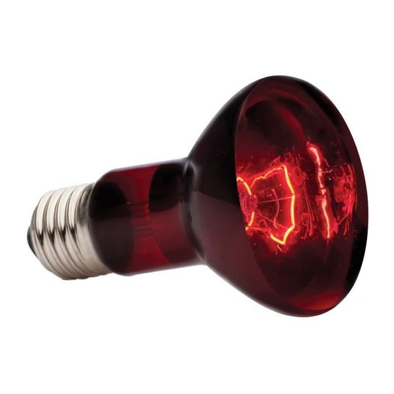 EXO TERRA Lampe infrarouge Baskin Spot - 50 W - Pour terrarium