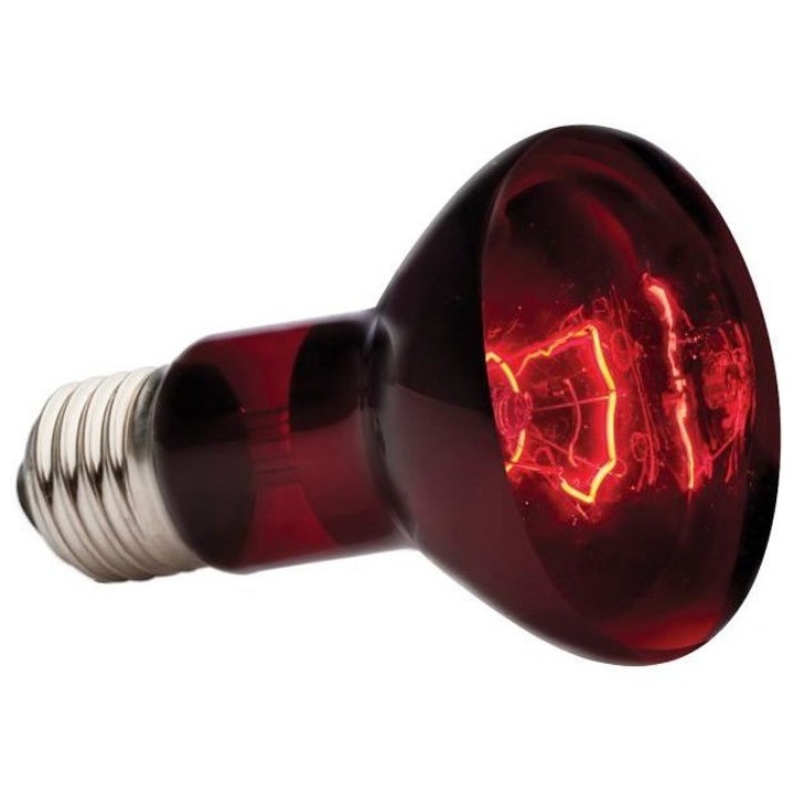 EXO TERRA Lampe infrarouge Baskin Spot - 50 W - Pour terrarium