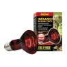 EXO TERRA Lampe infrarouge Baskin Spot - 50 W - Pour terrarium