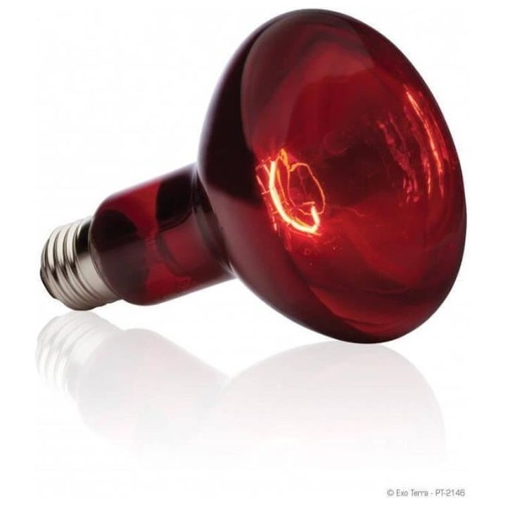 BASKING SPOT lampe infrarouge 75 W