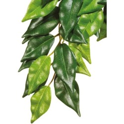 EXO TERRA Ficus Jungle Plant GM - Pour terrarium