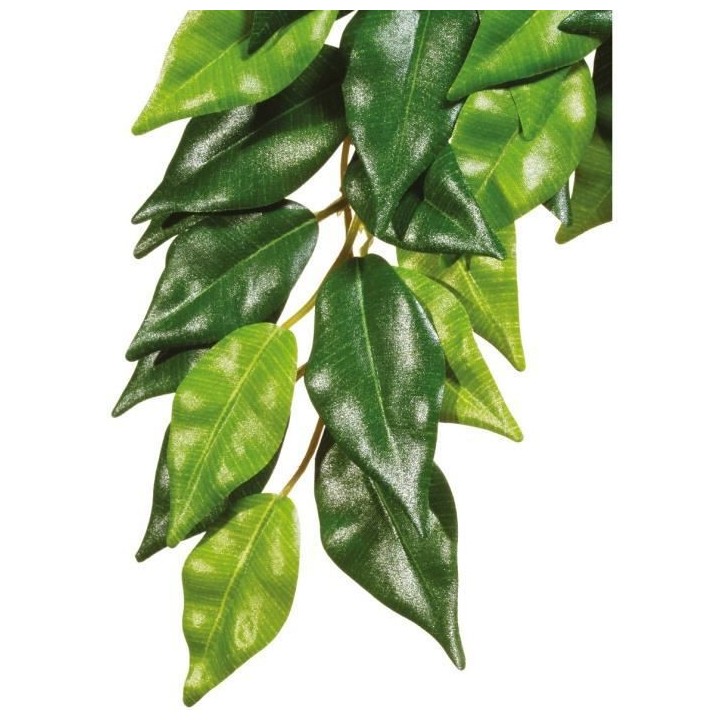 EXO TERRA Ficus Jungle Plant GM - Pour terrarium