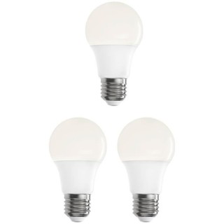 EXPERT LINE AMPOULE LED BLANC CHAUD Standard - Lot de 38 W. 640 lm. E2
