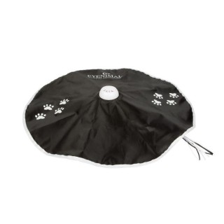 EYENIMAL Chase me : jeu pour chats