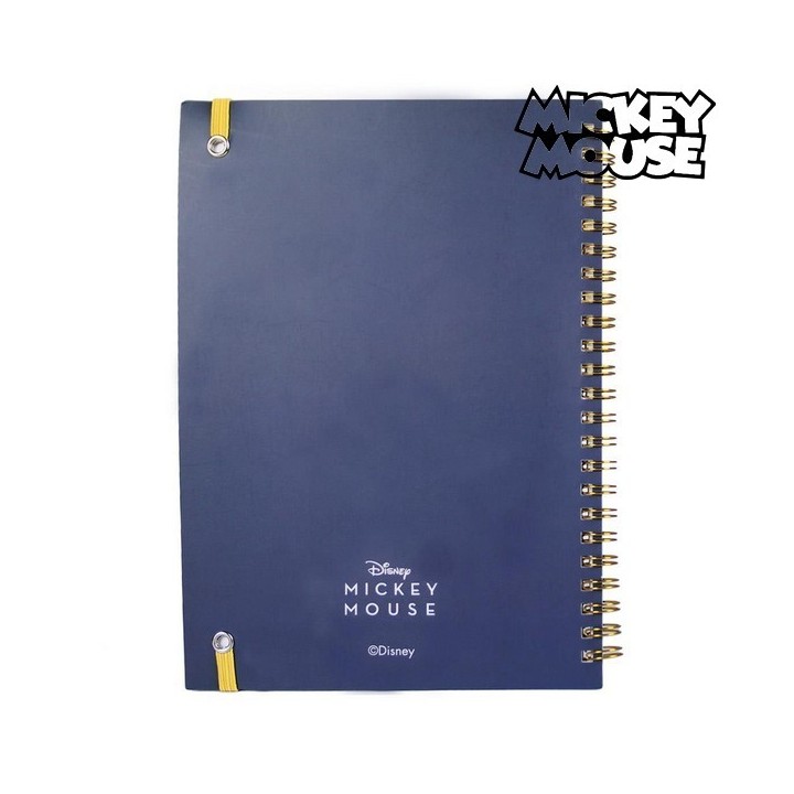 Carte postale microlorge