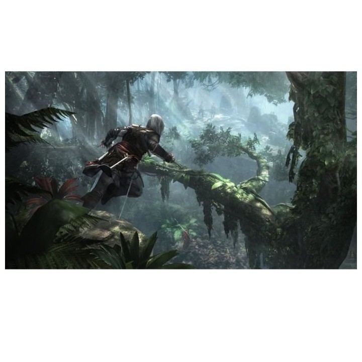 Assassin's Creed 4 Black Flag Playstation HITS Jeu PS4