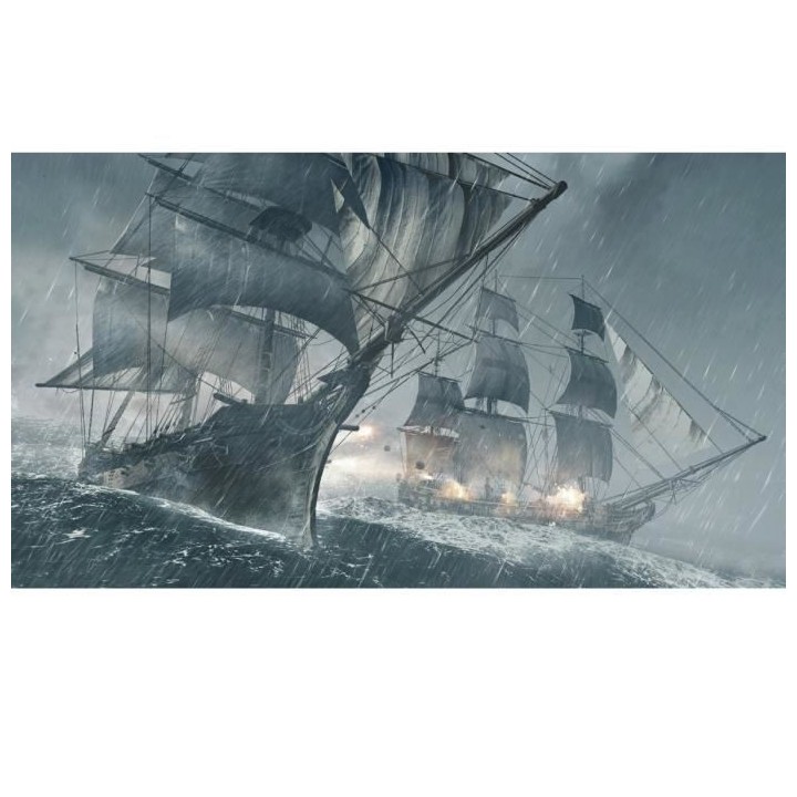 Assassin's Creed 4 Black Flag Playstation HITS Jeu PS4