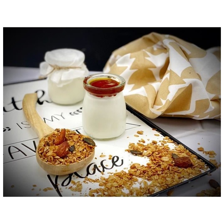 FAGOR FG3215 Yaourtiere 12 pots - 40W - Bouton start/pause - Minuteur