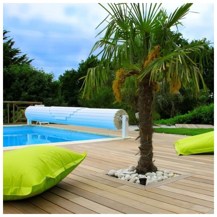 FARTOOLS PACK GRAND RENOVATEUR SUR PIED POUR SURFACE AU SOL + 2 BROSSE