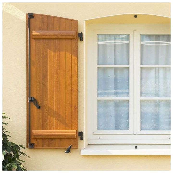 FARTOOLS Rénovateur REX120C + brosse a lamelles et brosse fibre synth