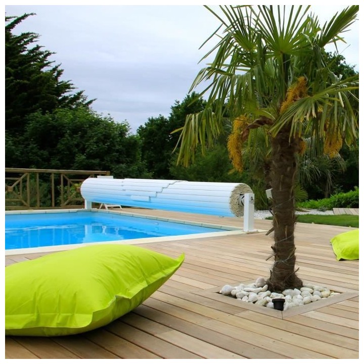 FARTOOLS Rénovateur REX120C + brosse a lamelles et brosse fibre synth