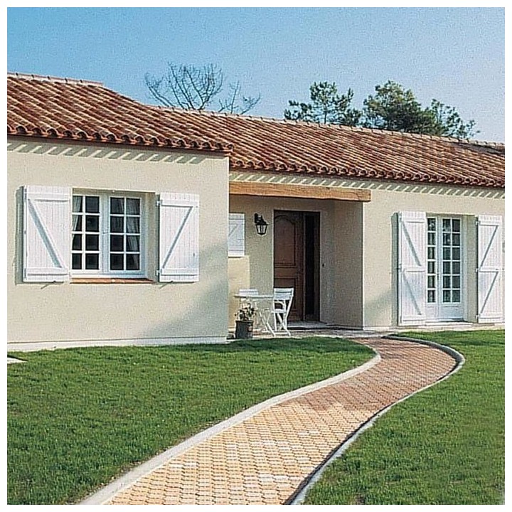 FARTOOLS - Rénovateur REX120C + brosse lanieres abrasives et nylon