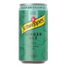 Boisson rafraîchissante Schweppes Ginger Ale