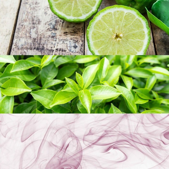 Carte postale microlorge