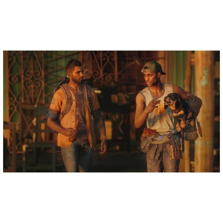 Far Cry 6 Edition Gold Jeu PS4