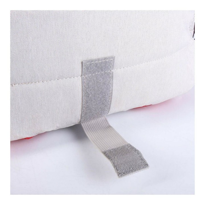 Carte postale microlorge