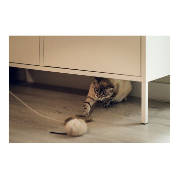 Carte postale microlorge