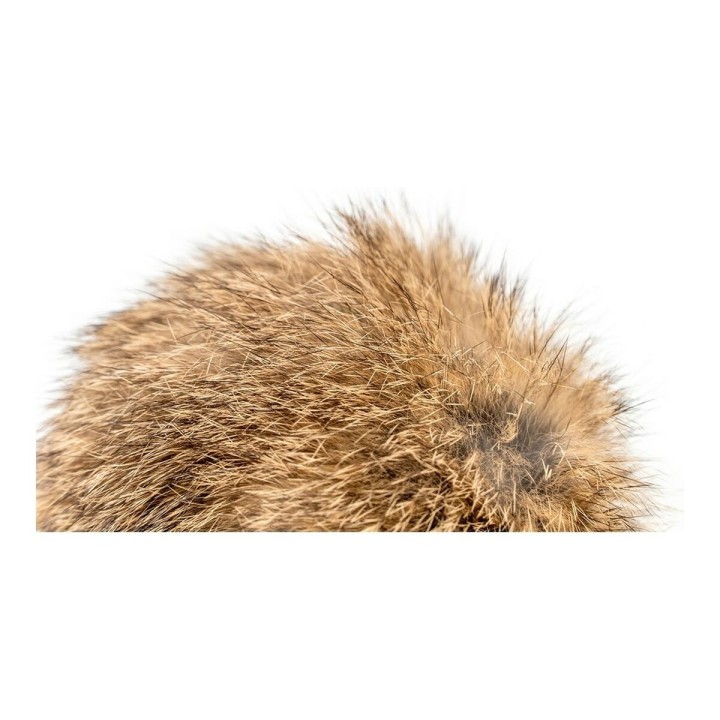 image imprimée ou numérique