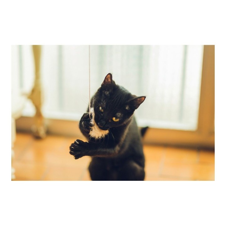 image imprimée ou numérique