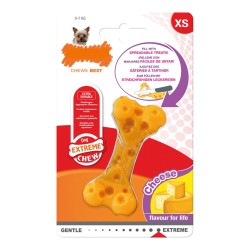 Jouet pour chien Nylabone...