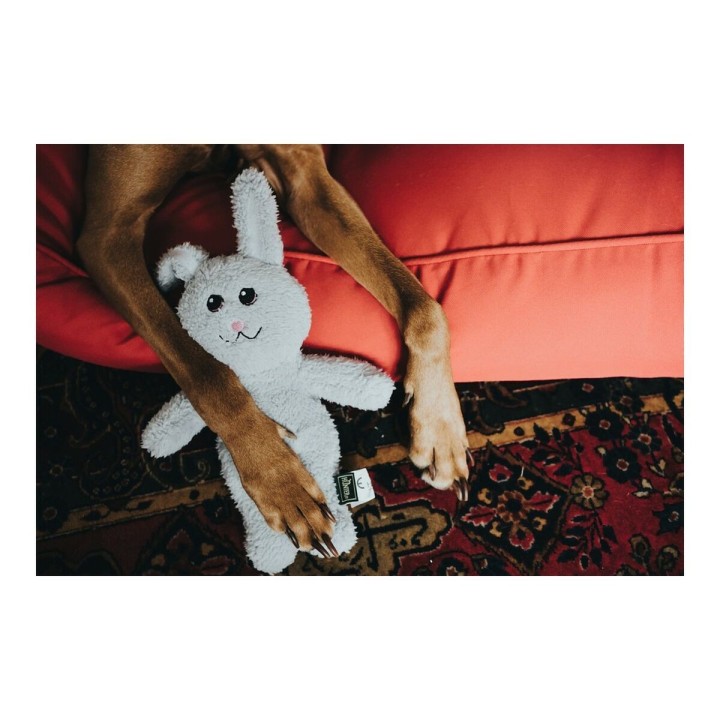 Carte postale microlorge