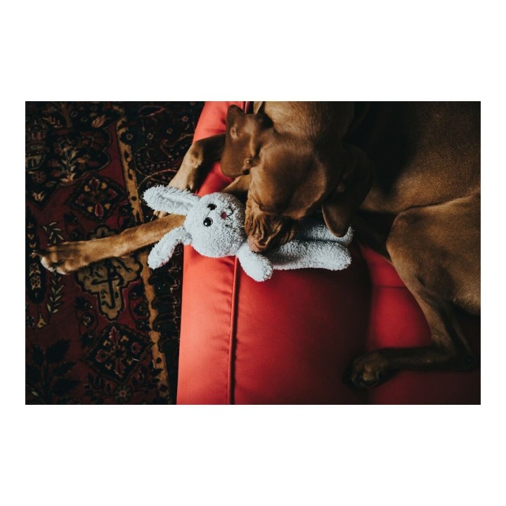 Carte postale microlorge