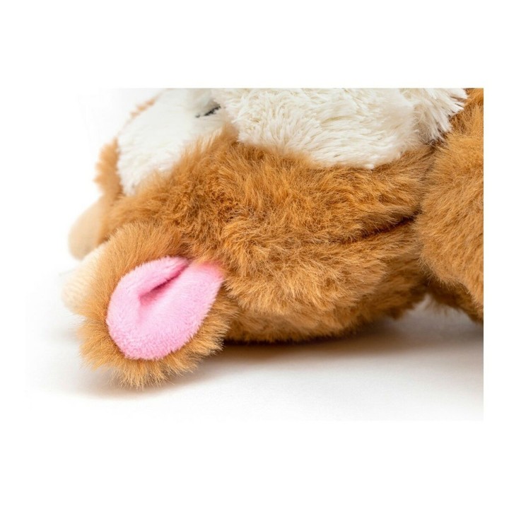 Carte postale microlorge