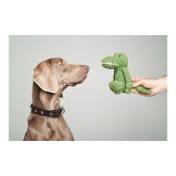 Jouet pour chien Gloria Pinky Crocodile Vert