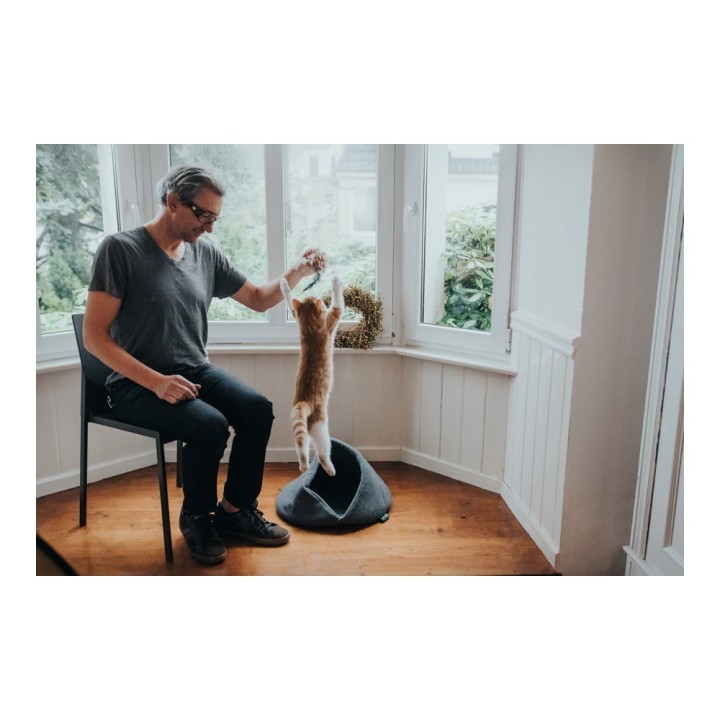 image imprimée ou numérique