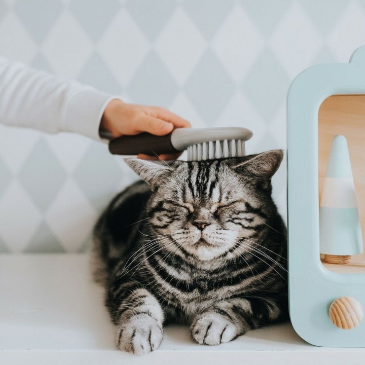 Carte postale microlorge