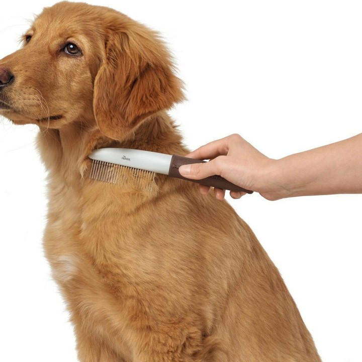 image imprimée ou numérique