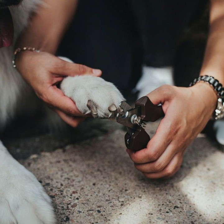 image imprimée ou numérique