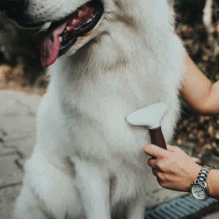 image imprimée ou numérique