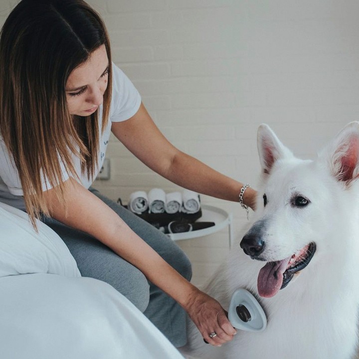 image imprimée ou numérique