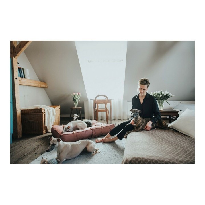 image imprimée ou numérique