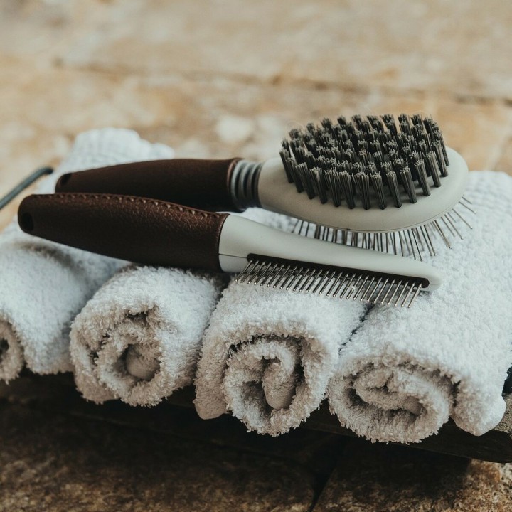 image imprimée ou numérique