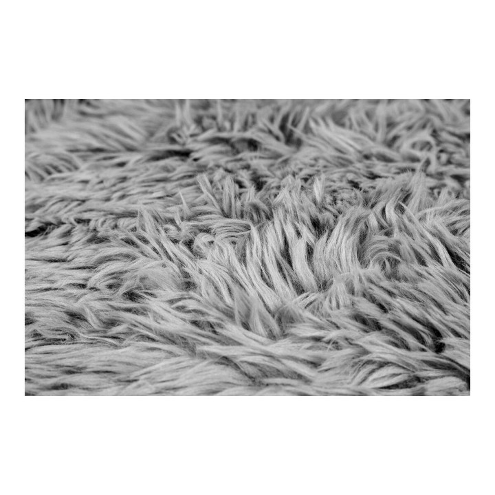 image imprimée ou numérique