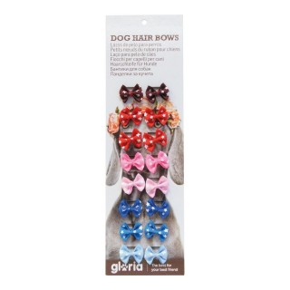 Carte postale microlorge