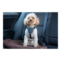 Harnais pour Chien Company of Animals CarSafe Noir Taille M