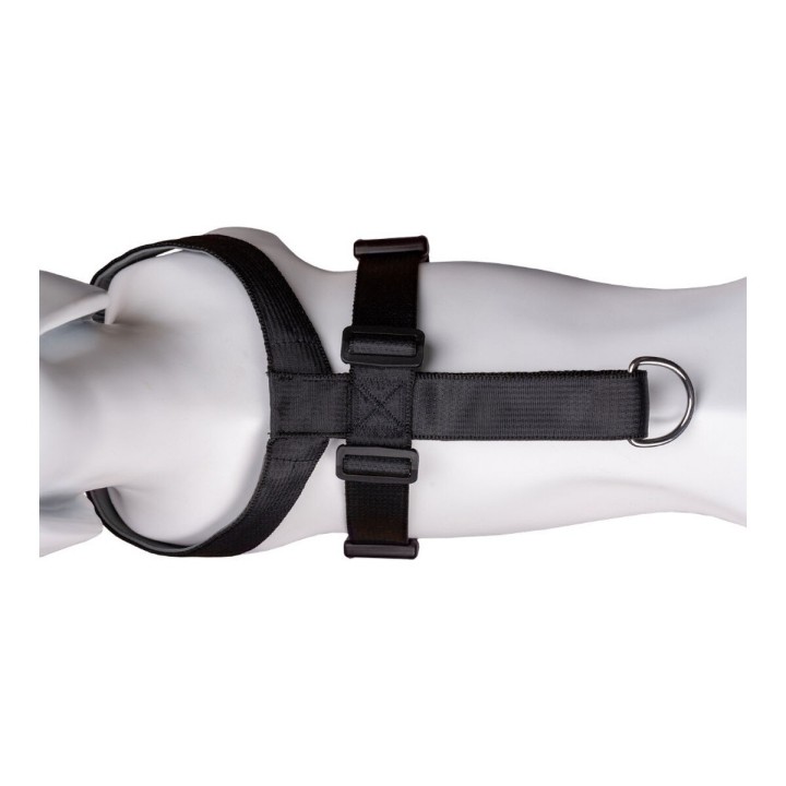 image imprimée ou numérique