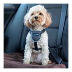 Harnais pour Chien Company of Animals CarSafe Noir XS