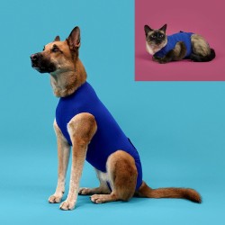 T-shirt de récupération pour animaux de compagnie KVP Bleu 35-43 cm