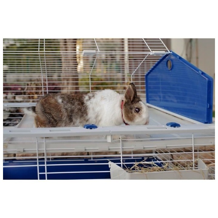 CAGE BARN 80 GREY (x1)