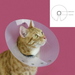 Collier élisabéthain pour chats KVP Saftshield Transparent 13.25-17.7 cm